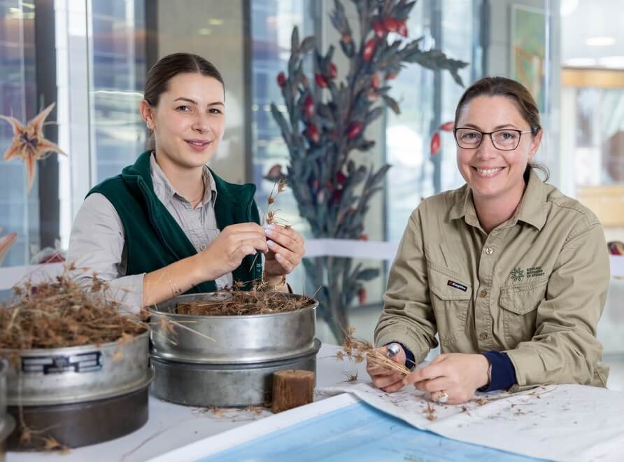 scientists working with plant specimens