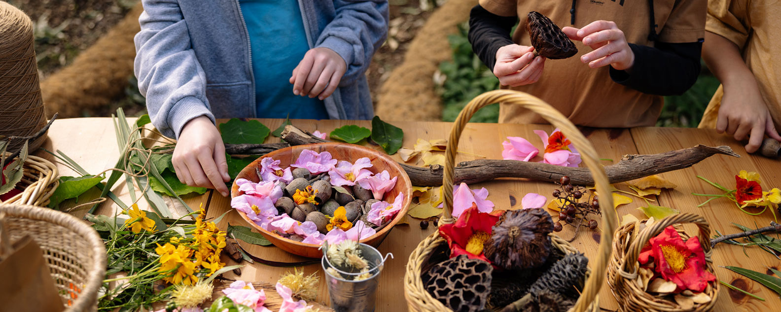 Natural materials scattered in baskets and on a table, kids picking items up in the background