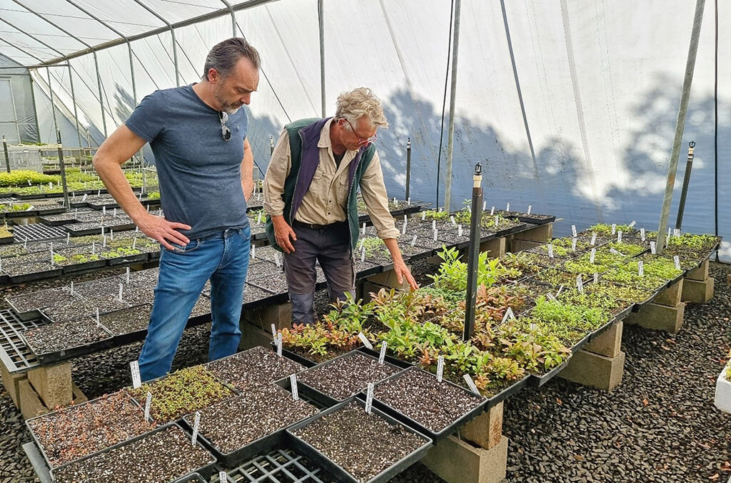 Scientists look at seedlings in a greenhouse