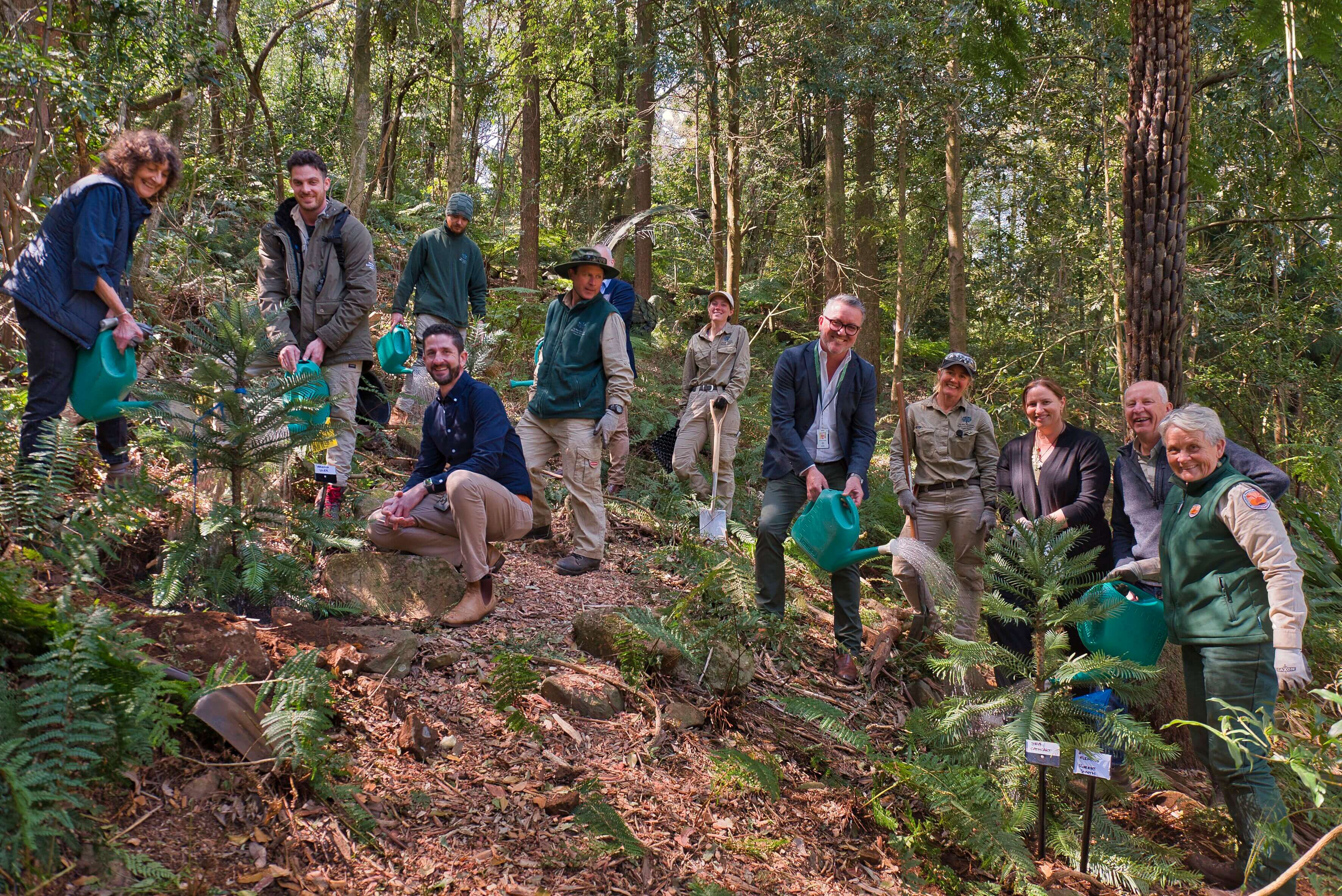 People who have made notable contributions to the research and conservation of Wollemi Pines at the special planting event.