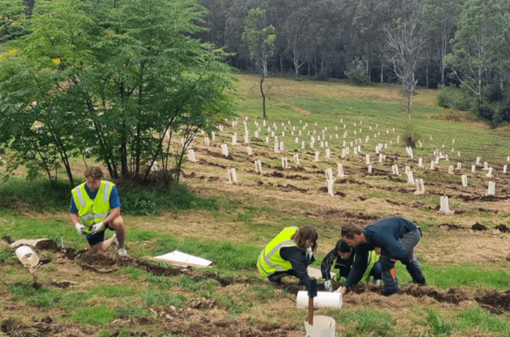 Development-volunteers-at-the-garden-1024x676.PNG