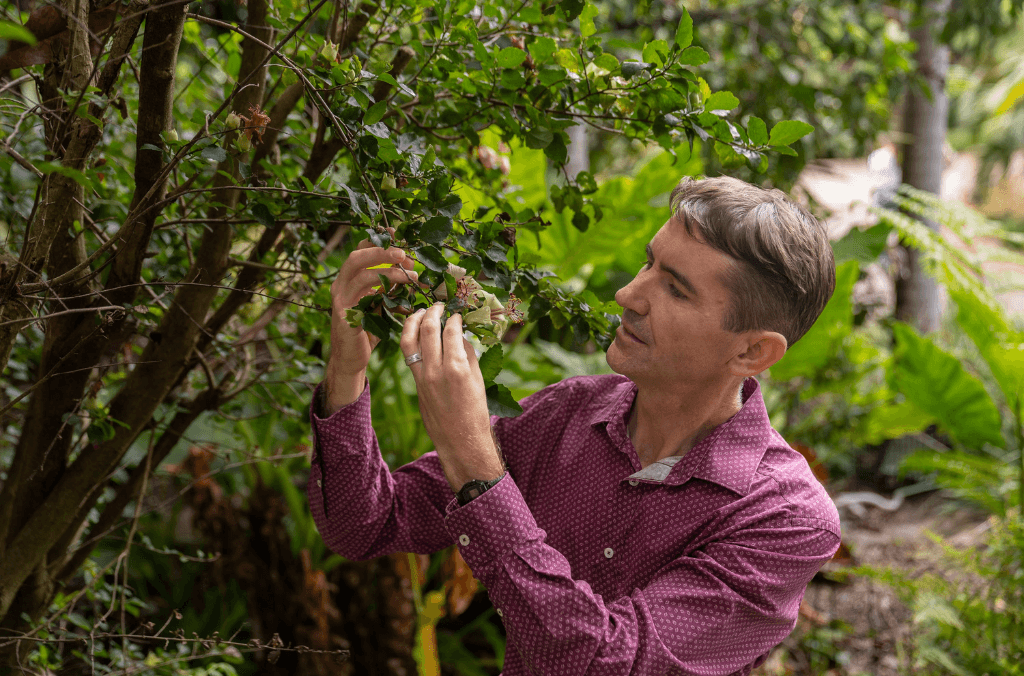 Man looks at plant