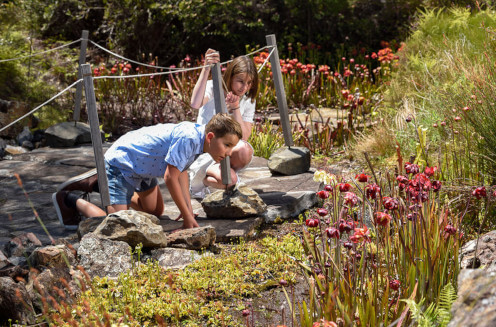 events-Horticulture-BlueMountains-bog-garden-kids-thumbnail-496x372.jpg