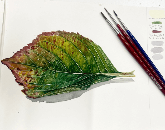 Life like botanical artwork of a leaf