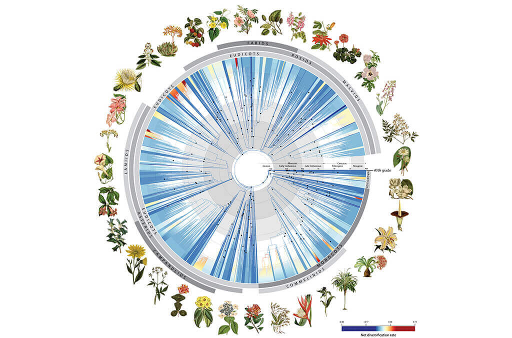 News-----body-tree-of-life--1024x676 (1).jpg