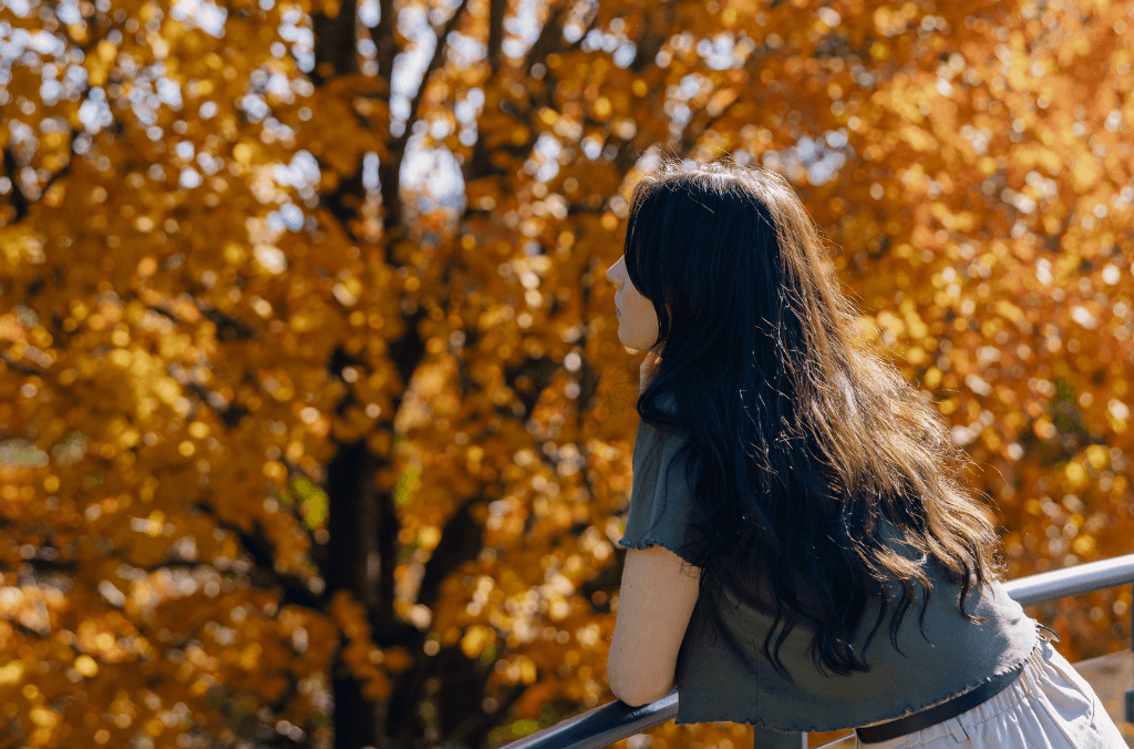 A women looking at autumn tree leaves