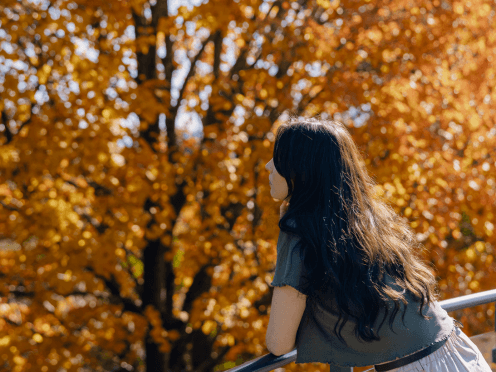 A women looking at autumn leaves 