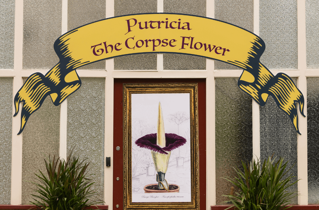 The entrance to Putricia's display in the Palm House.