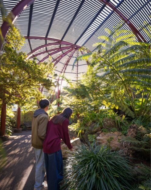 fernery_497x626.jpg