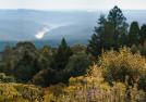 Visitor looks from stone pathway across autumnal garden and towards panoramic Blue Mountains view