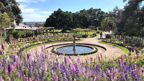 Pink and purple flowers in bloom in the Pioneer Memorial Garden