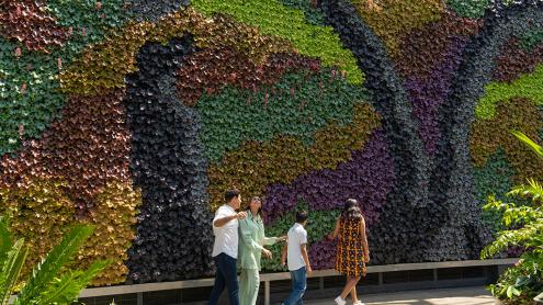 family walk by a rainbow coloured wall of plants