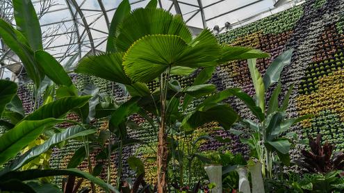 tropical garden beds under an elegantly curved greenhouse roof