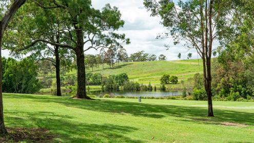 Lake with rolling green lawns and eucalyptus leaves