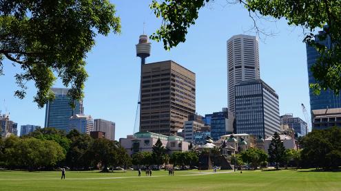 A grassy field with the Sydney CBD skyline behind it