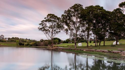 Lake and bushland with pink sunset sky