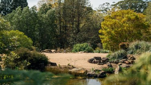 Sandy area and a pond