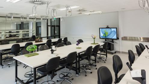 Persoonia Lab with tables, chairs and microscopes set up