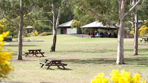 The Wattle Garden picnic area with tables and trees and a shelter