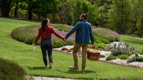 Two people hold hands, walking through heath garden, with a picnic basket