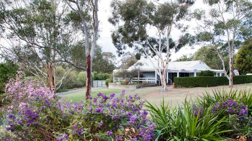 The Garden's Cafe at the Australian Botanic Garden surrounded by trees