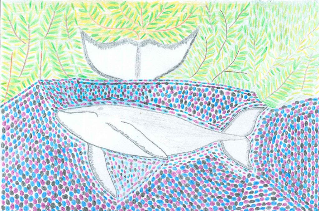 A hand drawn whale with a pattern showing coastal wattles in the background.