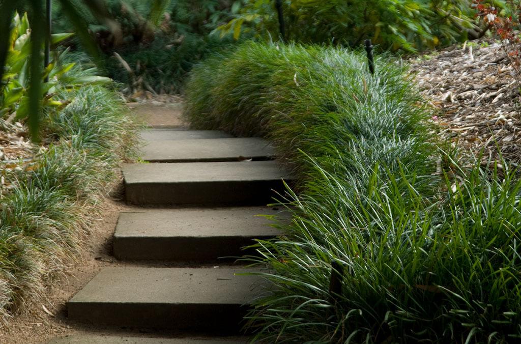 Steps in the HSBC Oriental Garden