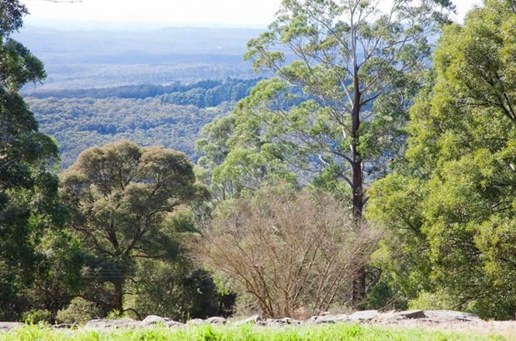 view of the mount tomah garden 