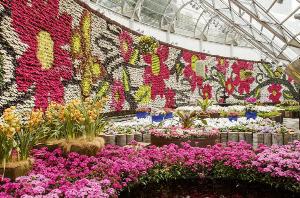 inBloom at The Calyx