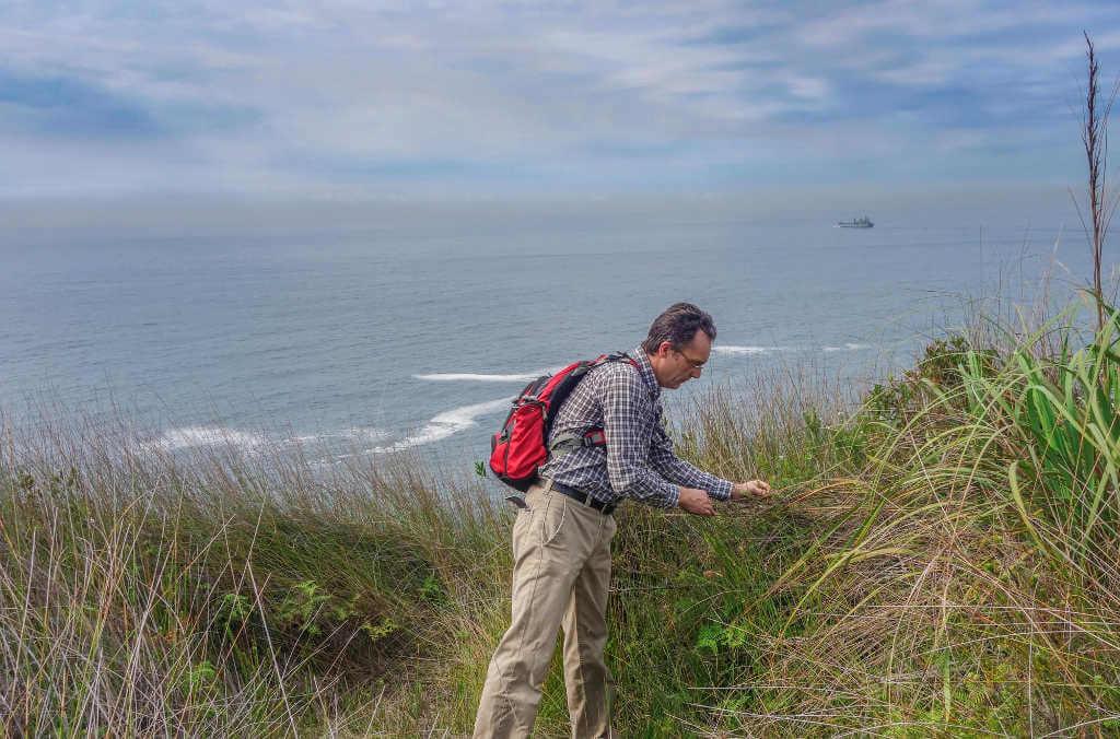 Dr Maurizio Rossetto collecting plants