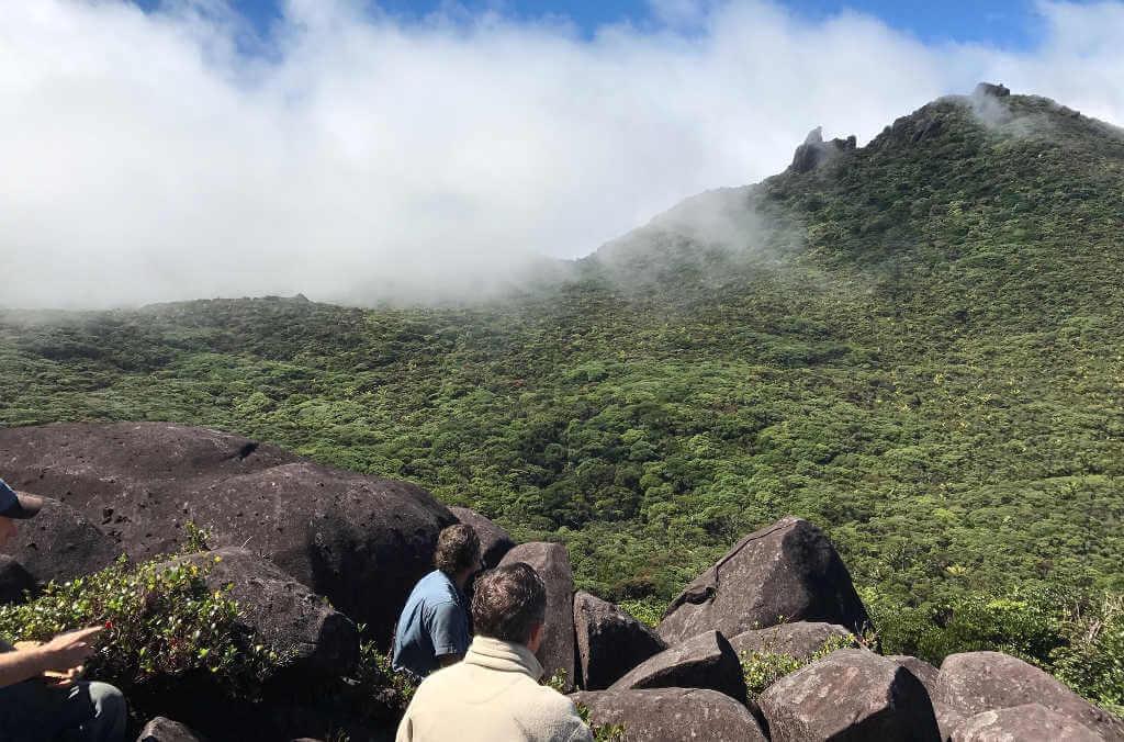 Thornton peak in qld 