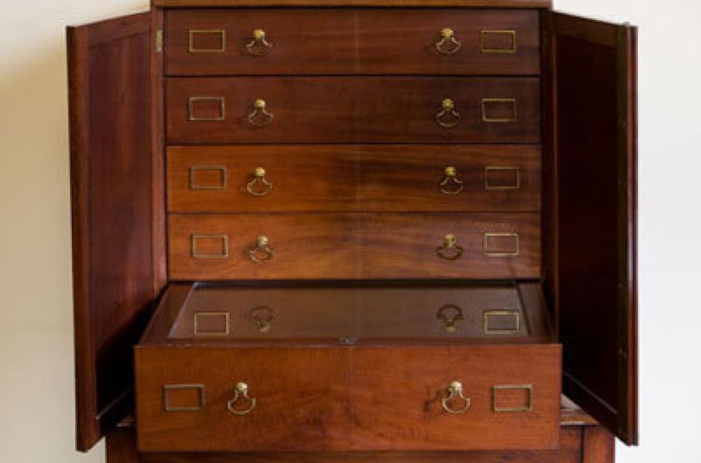 Botanist Joseph Bank's cabinet