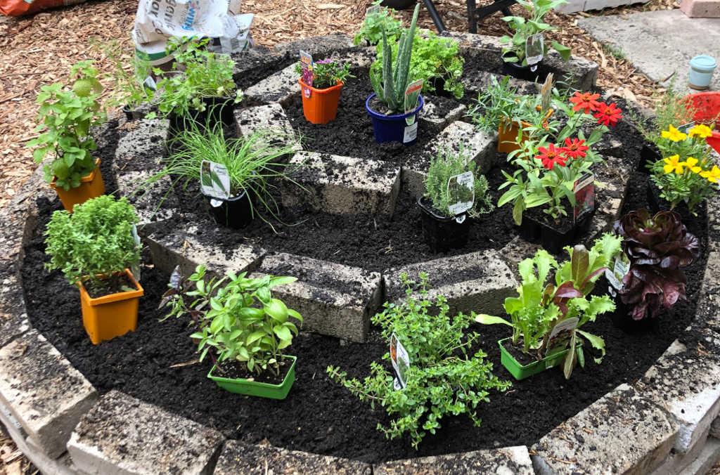 spiral garden pot plants