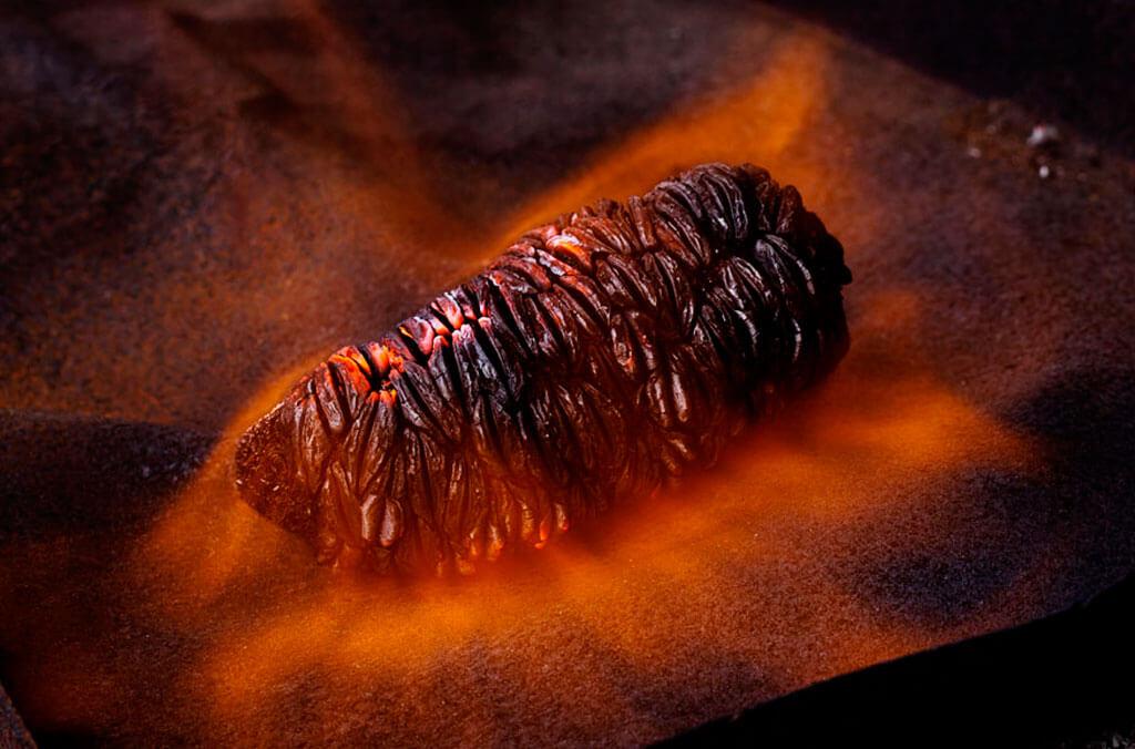 A Banksia seed pod glowing as it is swallowed by flames