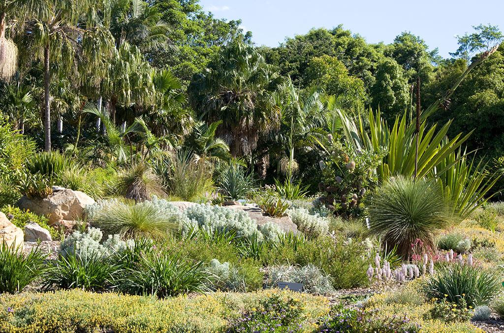 View of the Connections Garden