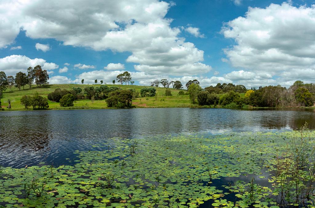 Lake at Mount Annan