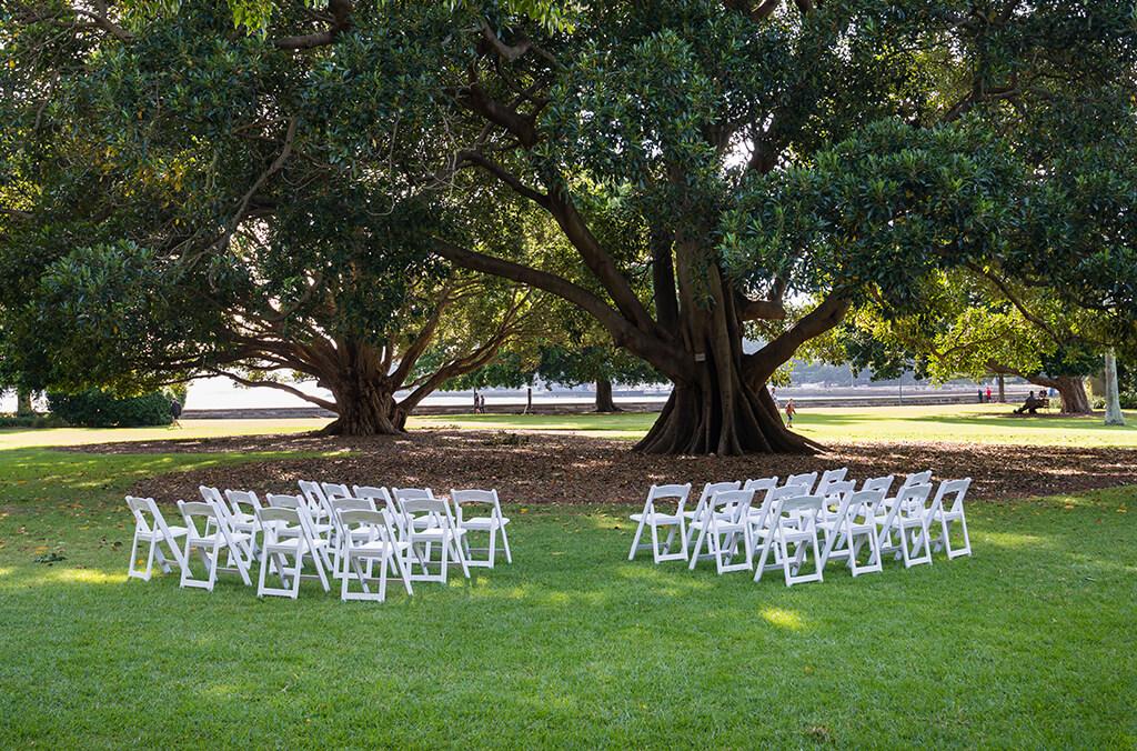 White chairs and wedding arch under fig trees