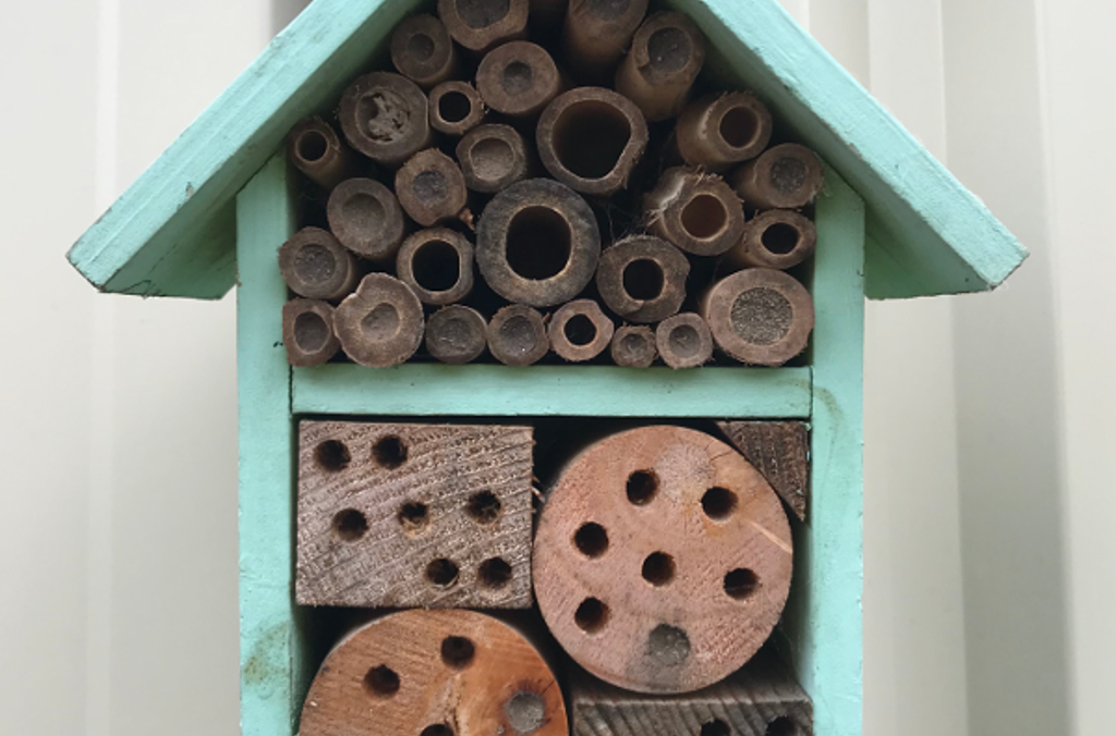 An example of a bee hotel   Image credit: Naomi Huynh