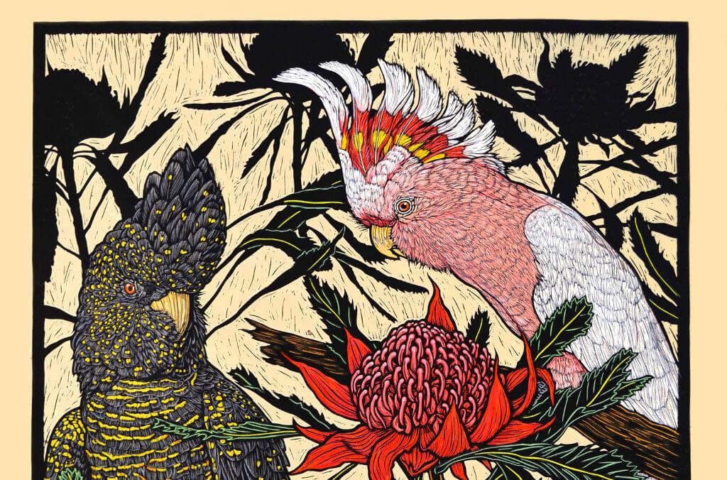 Cocakatoos & Waratah by Rachel Newling