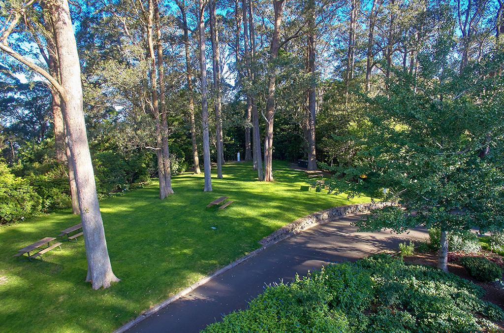 Aa shady, tree-dotted lawn with picnic tables