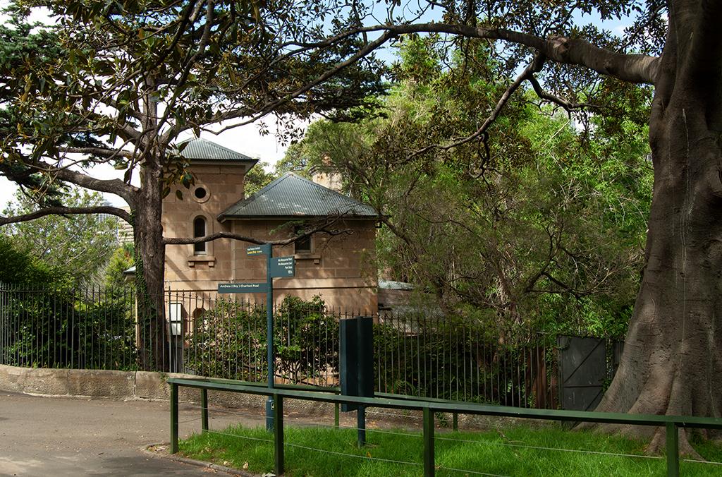 Sandstone cottage in shaded, leafy garden