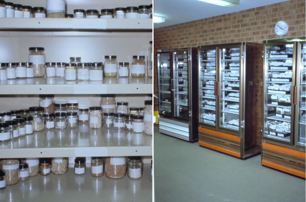 specimens in fridge close up 