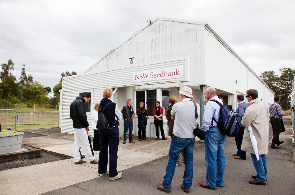 nsw seedbank close up 