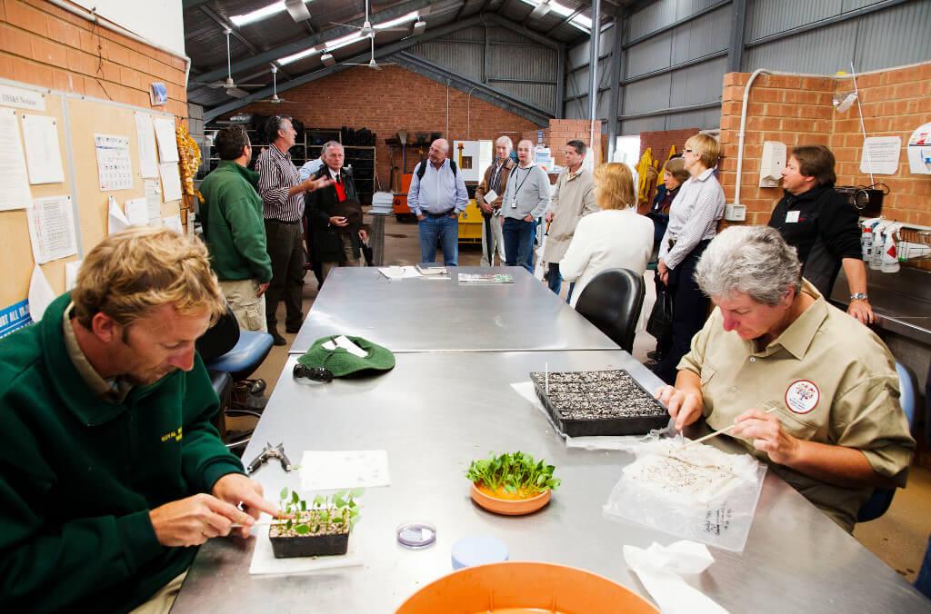 staff at the nsw seedbank 