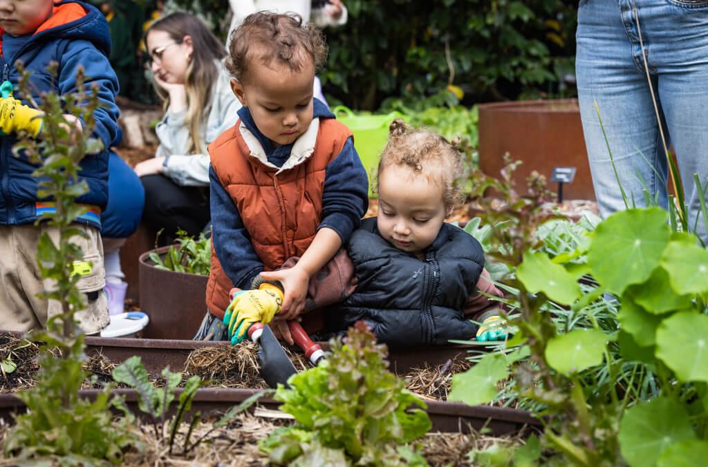 kids playing at the seedlings program 