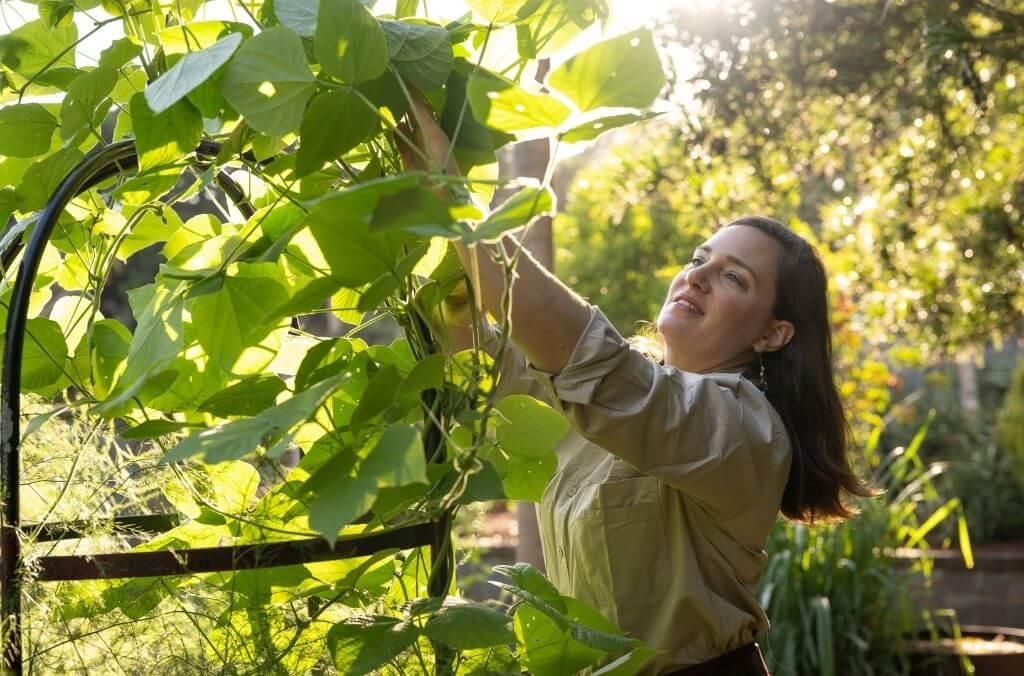 Adina Oosterwijk reaching up to check on a plant's leaves