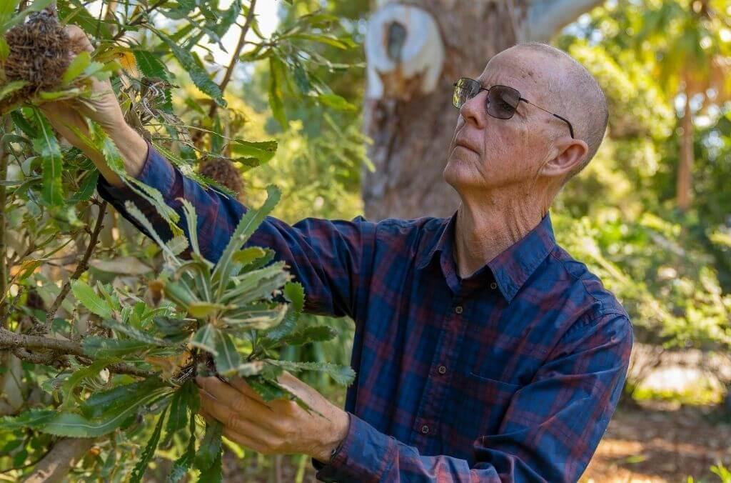 Staff-Brett-Summerell-banksia-1024x676.jpg