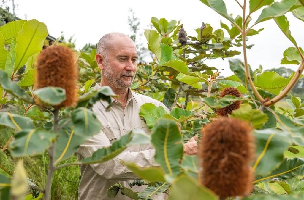 Staff-Chris-Cole-banksia-1024x676.jpg