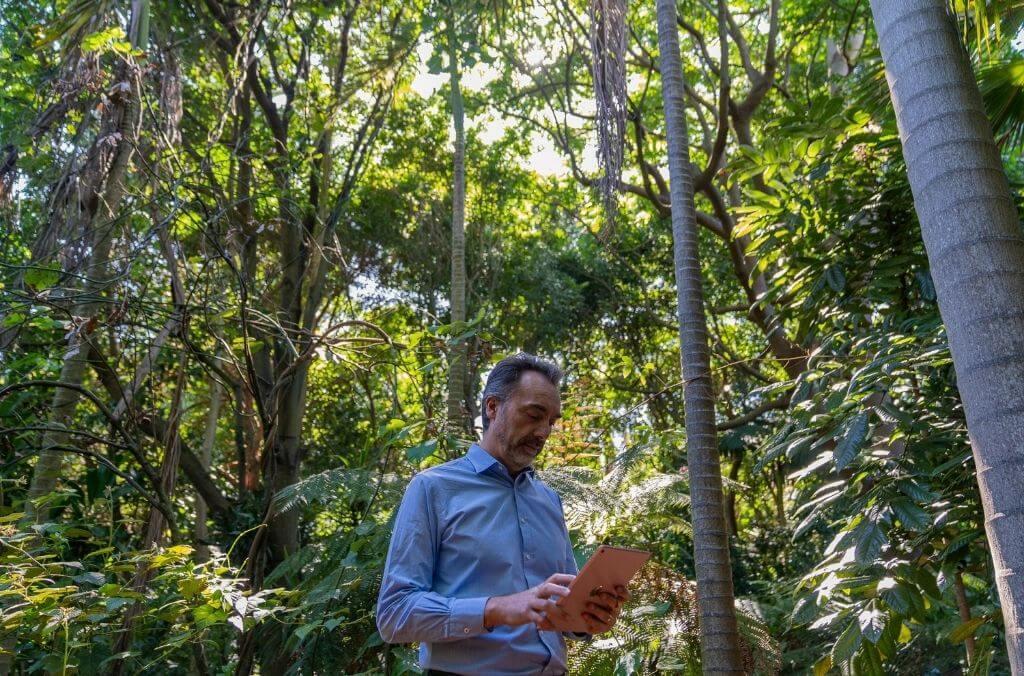 Staff-Maurizio-Rossetto-fieldwork-trees-1024x676.jpg