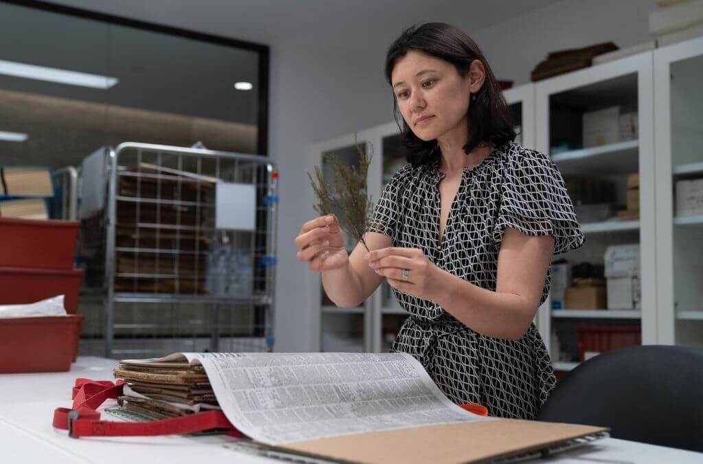 Staff-Patricia-Lu-Irving-herbarium-1024x676.jpg